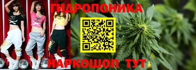 шишки Малоярославец