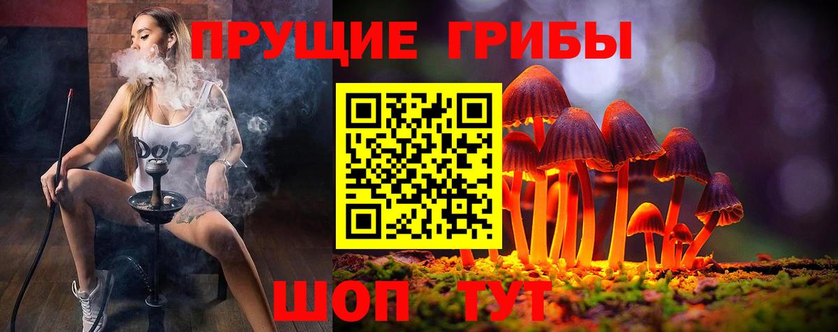 Сосновый Бор  где продают наркотики  Вход с VPN  Галлюциногенные грибы Psilocybe  Галлюциногенные грибы Psilocybine cubensis 